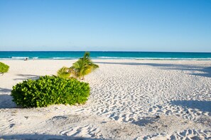 Best beach in Playa 5 house walk from our home 