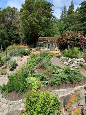 Gardens and a greenhouse
