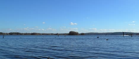 Beautiful view from the dock on the big water.