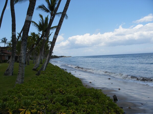 3/4 mile of ocean frontage along property