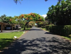 street thur middle of property