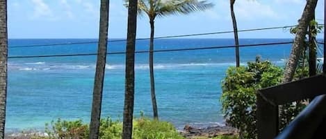 View from living room and Lanai