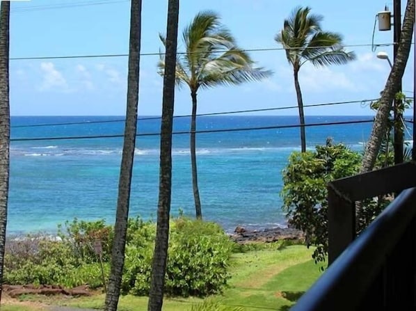 View from living room and Lanai