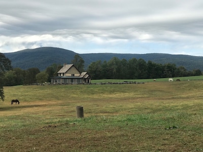 The Camelot at Windsor Lodge, LLC