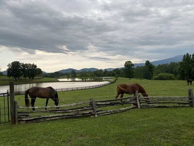 The Camelot at Windsor Lodge, LLC