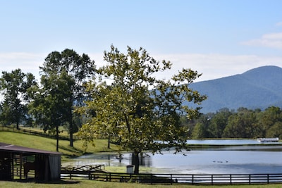 The Camelot at Windsor Lodge, LLC