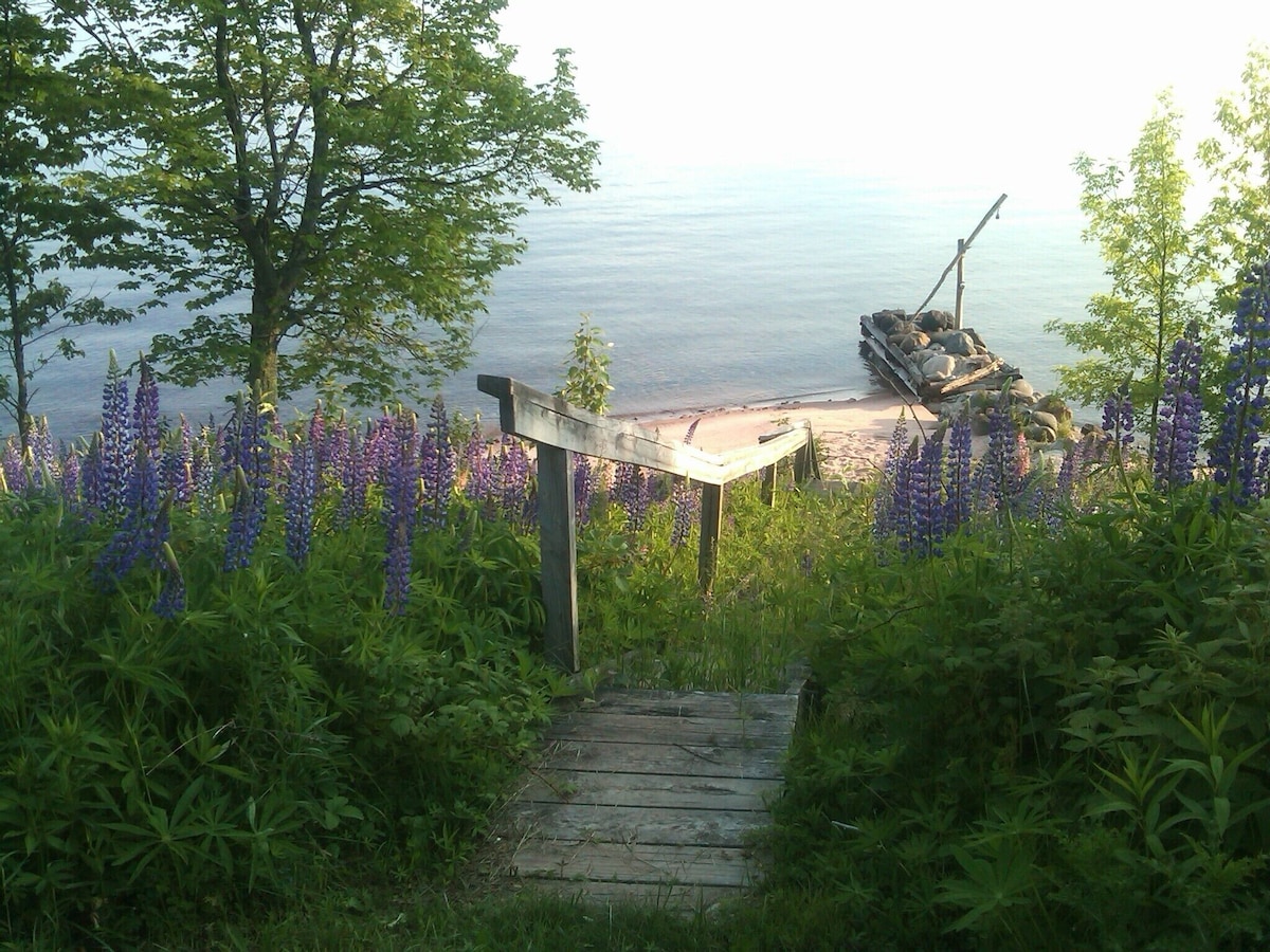 Main Image