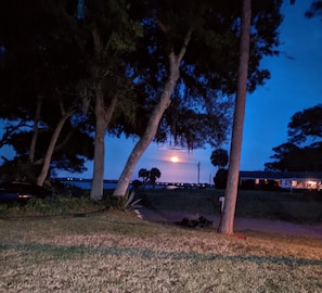 The evening moon!