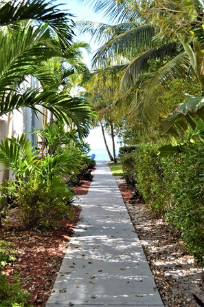 Pathway to the Water