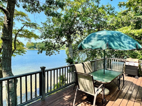 Expansive deck with grill, high in the trees overlooking Ezekial Pond.