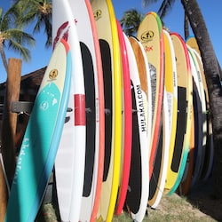 Try learning to surf or paddleboard - rentals