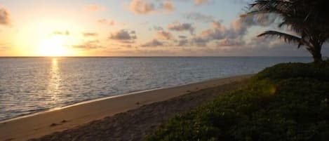 The Beach just steps from cottage.