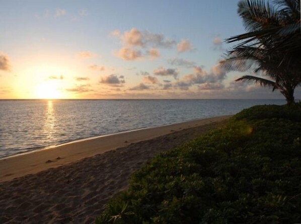 The Beach just steps from cottage.