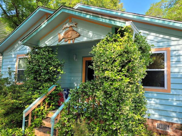Snapper Cottage Oak Island NC. Jasmine blooms on front porch late April-mid May