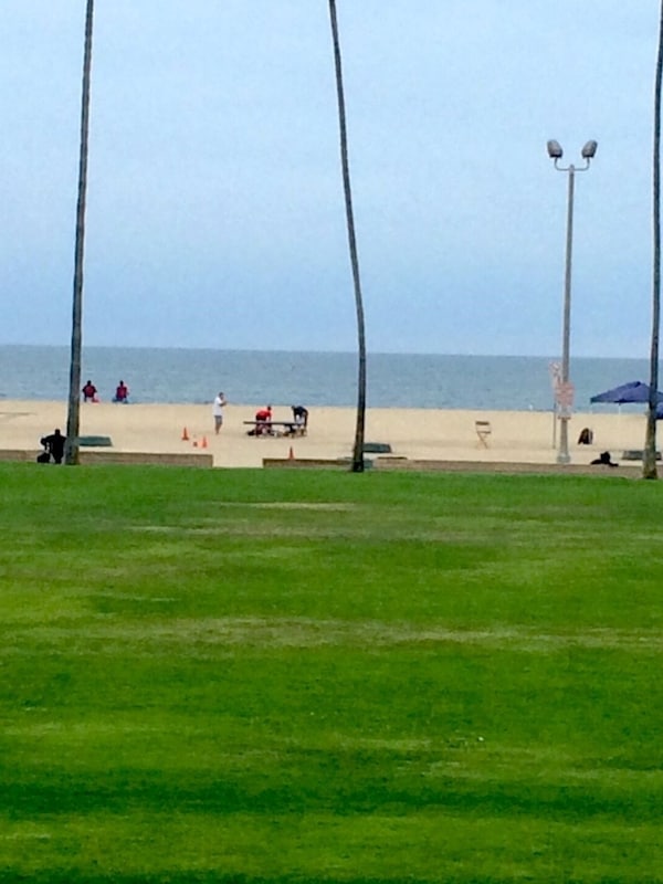 Fire Pits on the beach