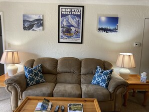Living area with pull out sofa