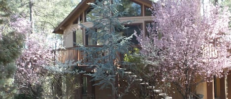 Stoney Hollow in the spring.