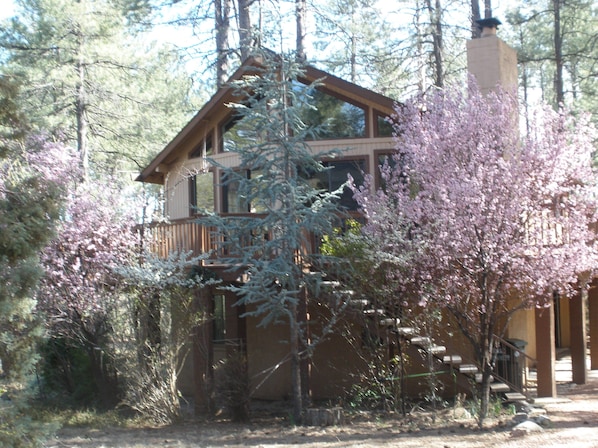 Stoney Hollow in the spring. 