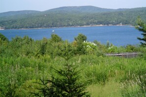 View of Somes Sound from the deck of Captains Quarters.  Deer appear right here very often.