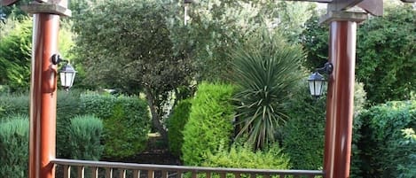 Southern facing garden from pergola 