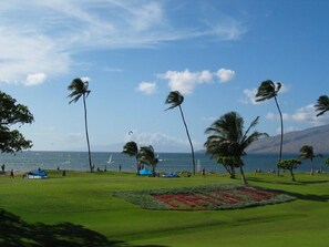 Beach view