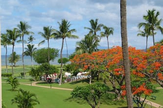 Maui Sunset BR, 2BA Condo B-307 - New King Bed