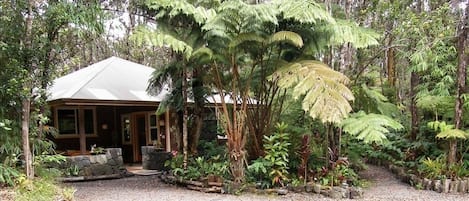 The Mist Cottage is nestled in the 
Forest Preserve at Volcanoes National Park