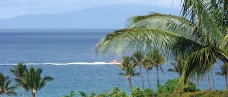 Enjoy the boats and the Island of Lanai in the background!