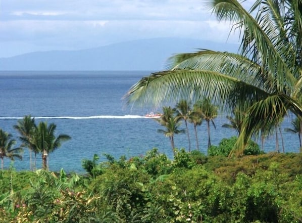Enjoy the boats and the Island of Lanai in the background!