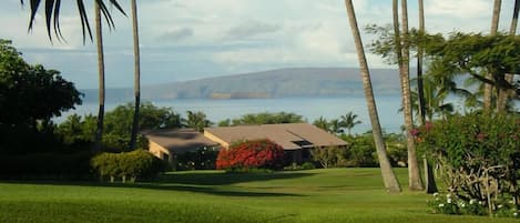 View from our Condo's lanai. 