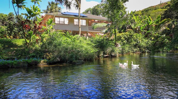 The vibe is awesome. Relax and rejuvenate your soul. Yes the swans are real... 
