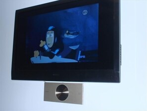 Fernseher