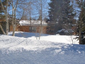 Another great blue sky day in Colorado
single family home no one to bother you