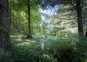 Overnatningsstedets område