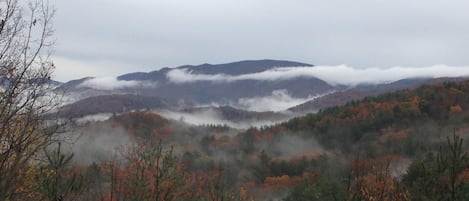 Early November morning from the back porch