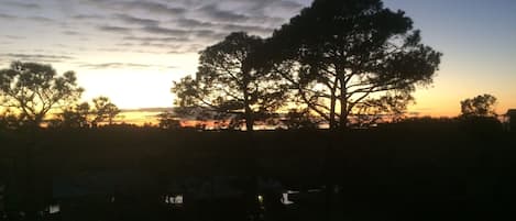 Evening View from Patio