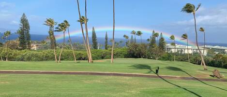 With the West Maui mountains behind the condo, there can be lots of rainbows! 