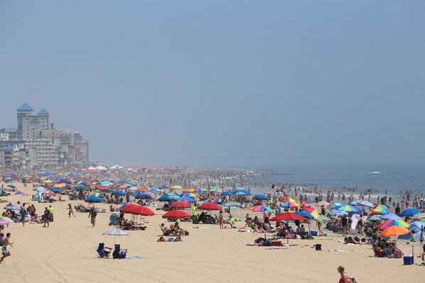 Ocean City's beach in the summer.
