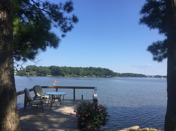 Beautiful Dock for Winter Sunrise and Watching Wildlife, birds...