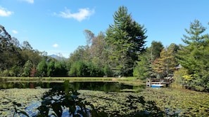 Grandfather Mountain in the back ground