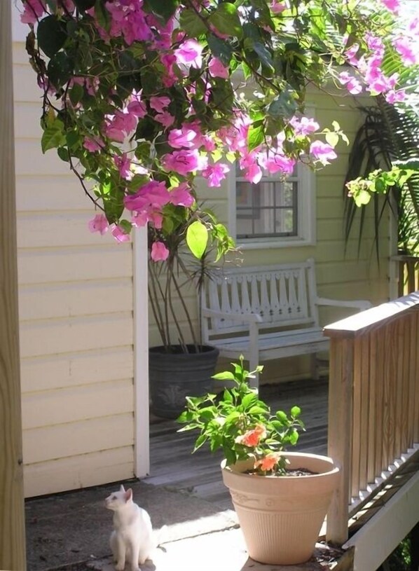 Front Entry of this Cute Cozy Cottage