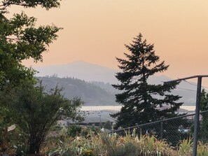 View of the River and Mount Hood in the distance
