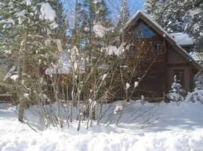 Winter Wonderland.