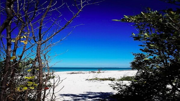 Praia