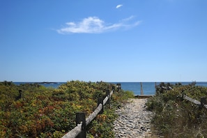 Our beach is just 190 yards from the house down this lovely path.