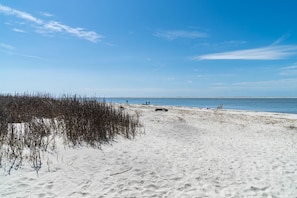 Beach front condo rental