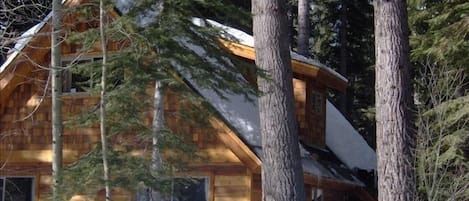 Drive right to the doorstep of this quiet and secluded cabin in the woods.