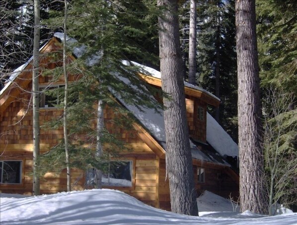 Drive right to the doorstep of this quiet and secluded cabin in the woods.