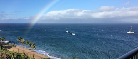 a rainbow from our favorite lanai!