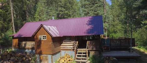 The cabin in the summer
